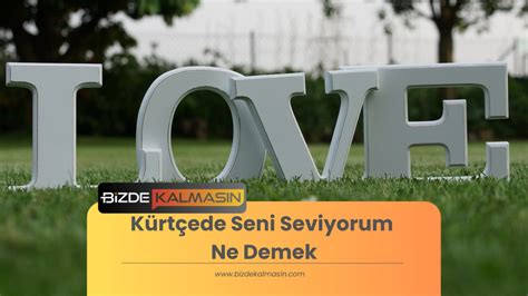 kürtçe seni seviyorum ne demek